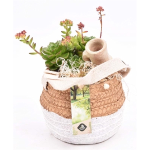 Cement pot met jute handvat 14,5cm