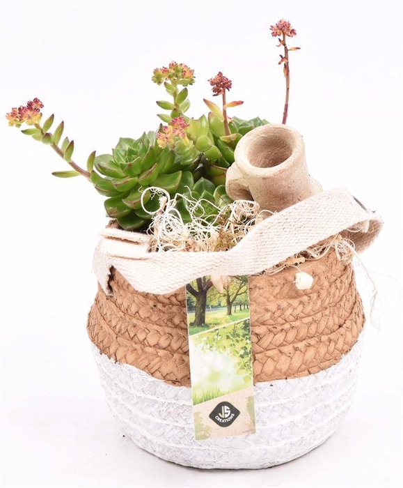 <h4>Cement pot met jute handvat 14,5cm</h4>