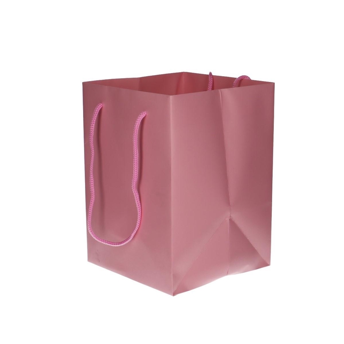 <h4>Olympic 25*18*18cm</h4>