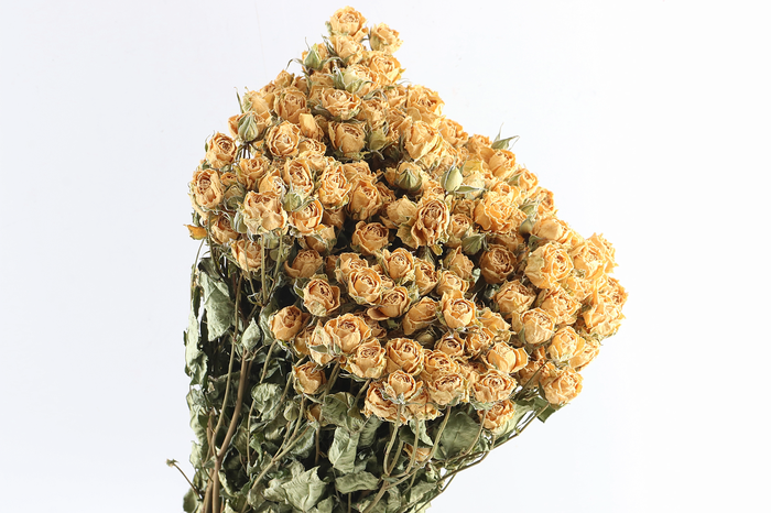 Roses Spray White Natural