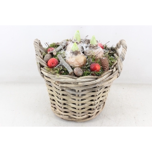 arr4 Hyacint PL - Kubumand hoog x2