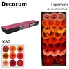 Germini Mix Autumn Doos