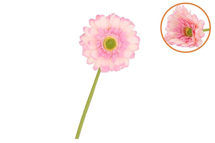 <h4>Silk Gerbera Light Pink 72cm</h4>