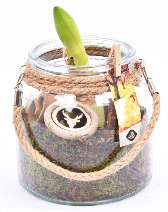 <h4>Glas vaas met touw 16cm</h4>