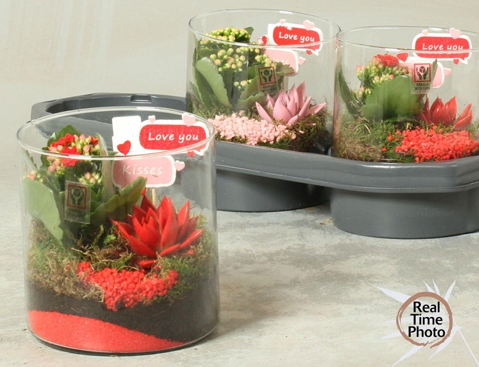 <h4>ARR KAMERPL</h4>