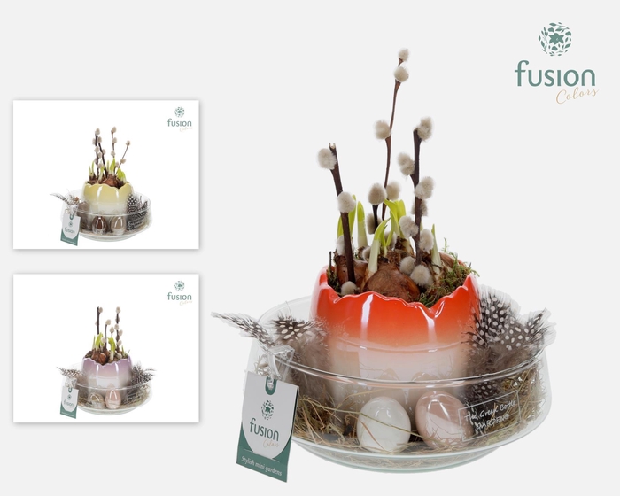 <h4>Green Bottle Iris Medium Pasen met arrangement</h4>