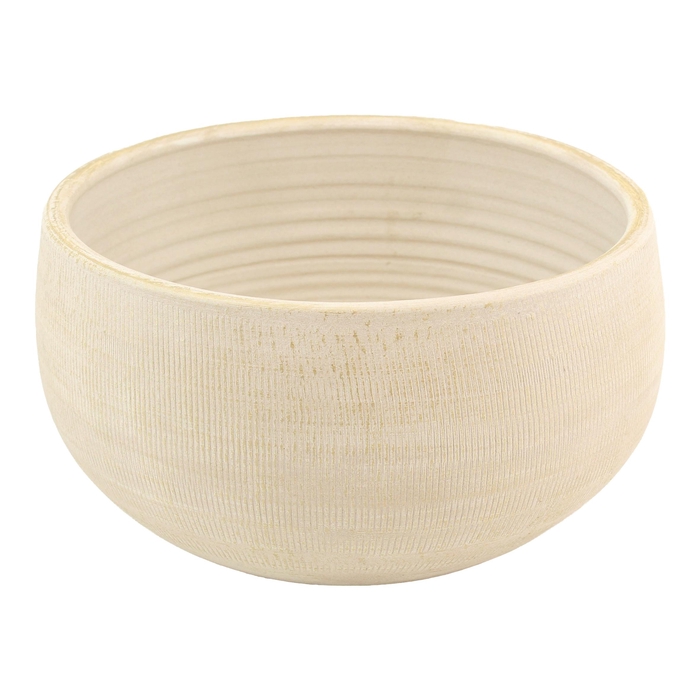 <h4>BLOEMPOT H%</h4>