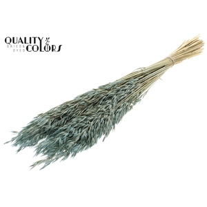 Avena per bunch Intense Frosted Light Blue