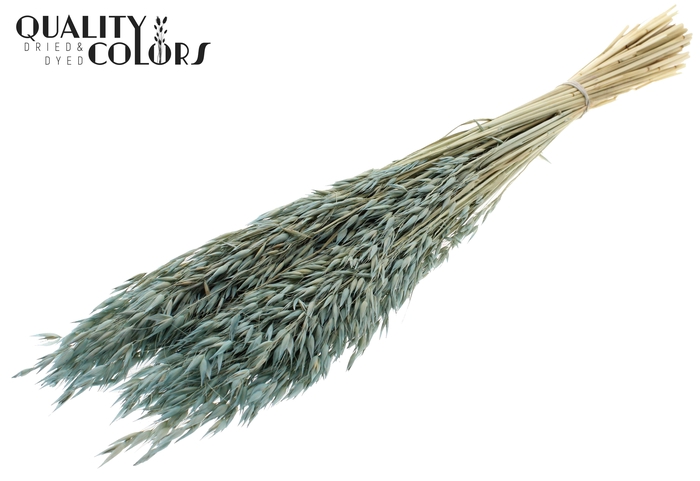 Avena per bunch Bleached Frosted Light Blue