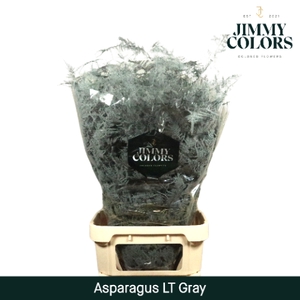 Asp lang getopt  Grey
