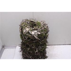 Krans Bonzai Bark 35 Cm