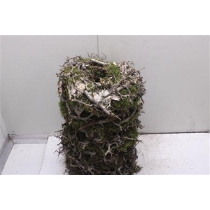 Krans Bonzai Bark 35 Cm