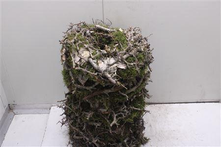 <h4>Krans Bonzai Bark 35 Cm</h4>