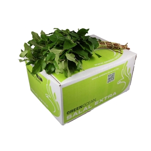 Salal Groot