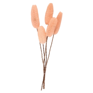 DRY LUFFA SALMON 5PC