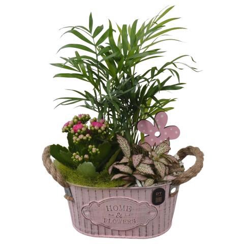 <h4>PTIB5297 Arrangement Indoor in metalen pot ovaal</h4>