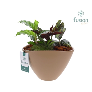 Pot keramiek ovaal Large beige met arrangement