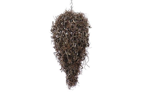 Drop Hanger Wildly Bonsai H75D32