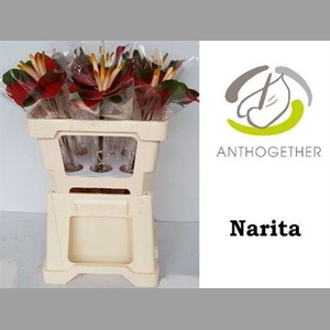 Anth A Narita