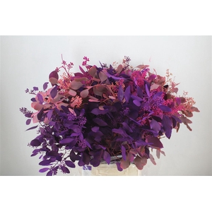 Euca Populus Berry Mix Pink 200gr P Bunch