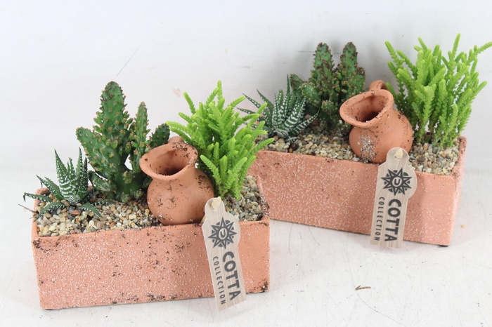 <h4>arr3 UB - Terra rechth. x4 cactus</h4>