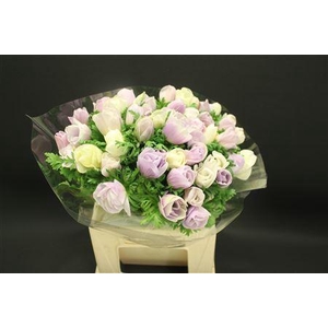 Anem Z Mistra Pale Milka