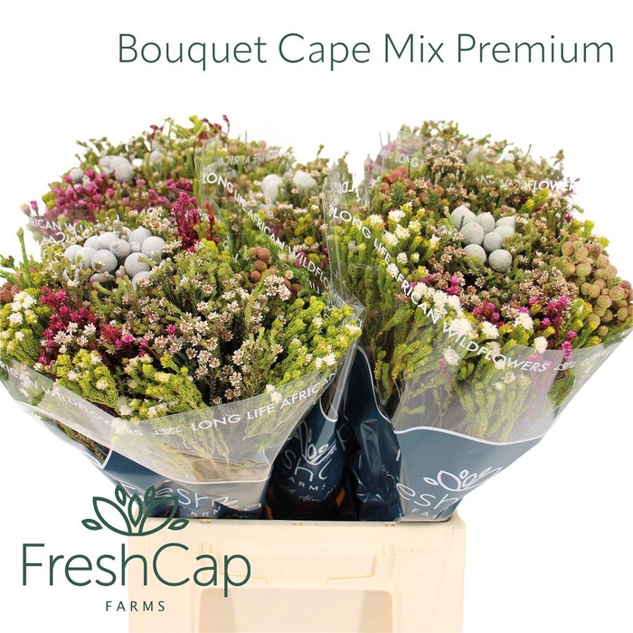 <h4>Bouquet Cape Mix Premium</h4>