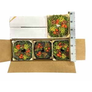 KRANS SIERFRUIT H%