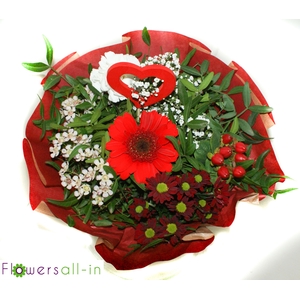 M202312-rood