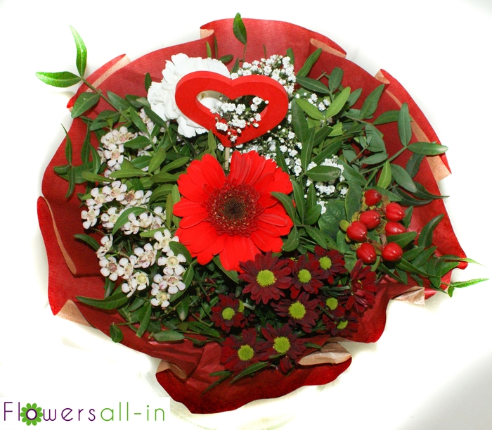 <h4>M202312-roze</h4>