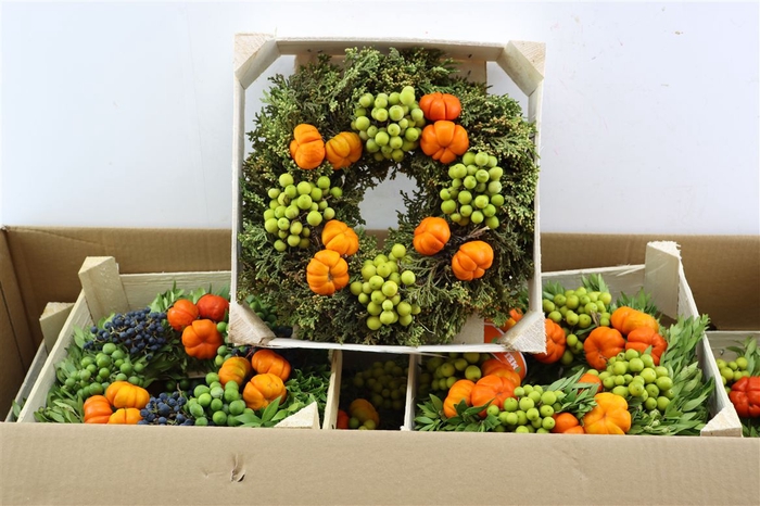 <h4>Wr Sierfruit 30cm (melli)</h4>