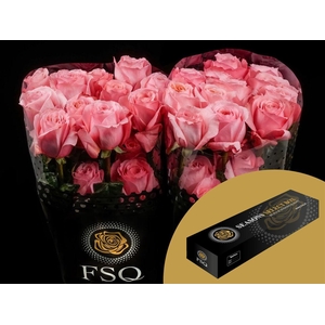 R GR Pink X-pression Box