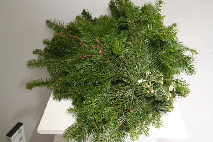 Nordman Handbos ( 750 Gr. )