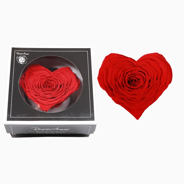 <h4>Hart XXL red-02</h4>