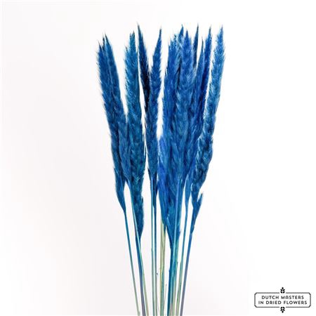 <h4>Dried Fluffy Pampas Dark Blue Bunch Slv</h4>