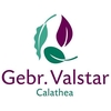 Calat Gem