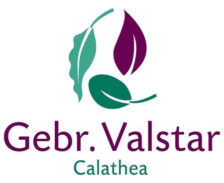 Calat Gem