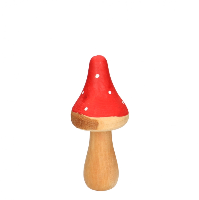 <h4>Autumn Mushrooms Pixie d07.5*15.5cm</h4>