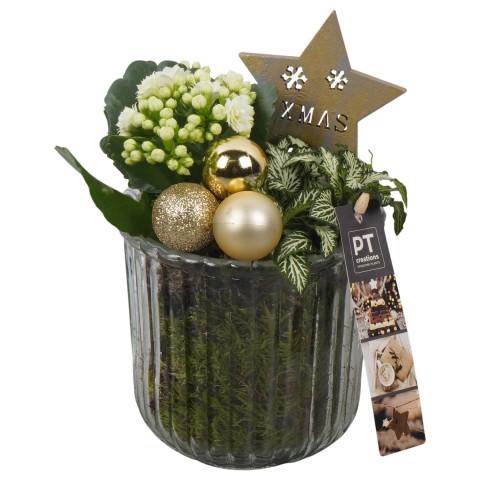<h4>PTCHG5705 Arrangement Christmas Gold in glazen pot</h4>
