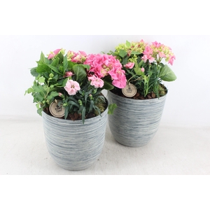 arr4 Outdoor PL - Hort. roze kunstst. pot L x3