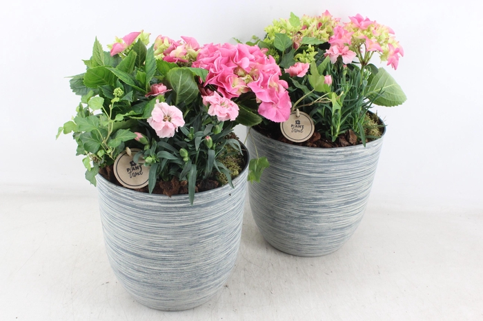 <h4>arr4 Outdoor PL - Hort. roze kunstst. pot L x3</h4>