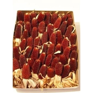 ZEA MAYS STRAWBERRY