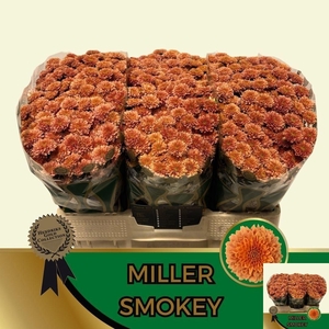 Chr S Miller Smokey 1200gr