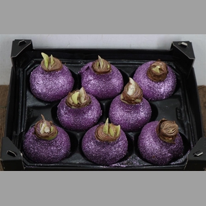 Wax Hipp Topline Gl Lavendel