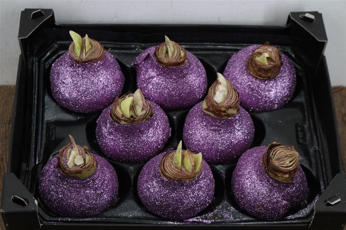 <h4>Wax Hipp Topline Gl Lavendel</h4>