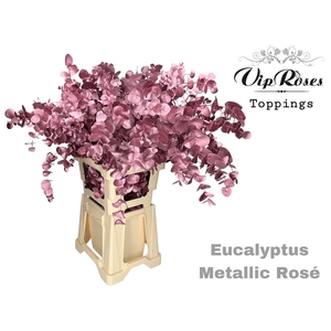 Euca Cinerea Metallic Rosé 300gr