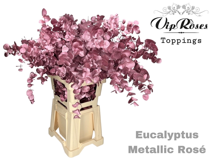 EUCA CINEREA METALLIC ROSÉ 300GR