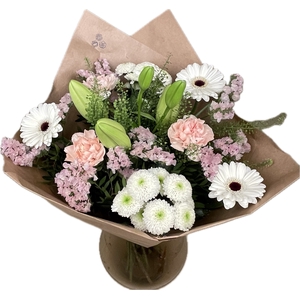 Bq Volume Voltage Salmon M