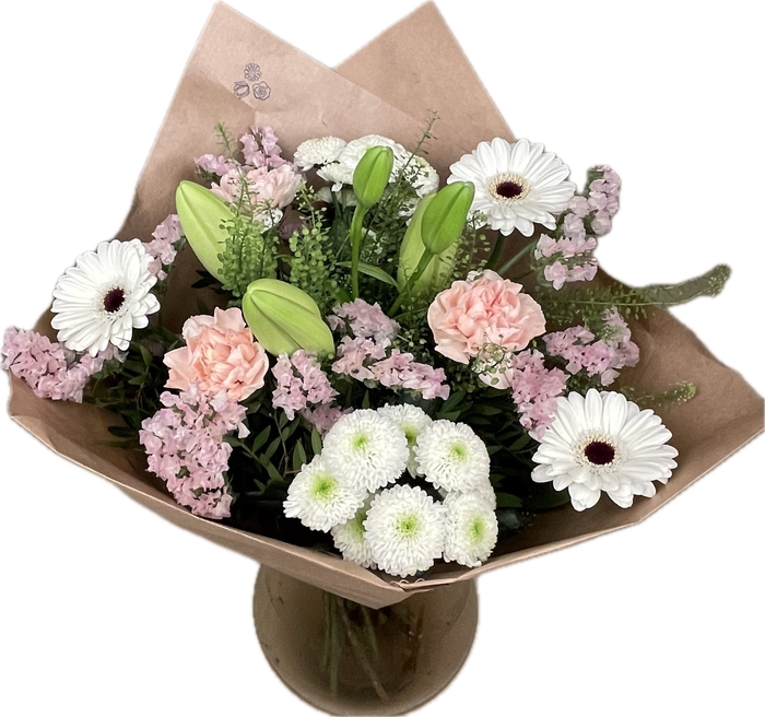 Bq Volume Voltage Salmon M