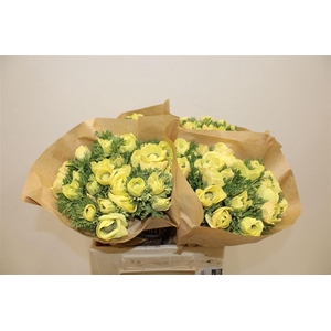 Anem Marianne Powder Yellow